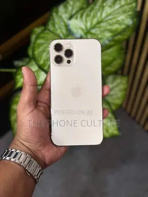 Apple iPhone 12 Pro Max 256GB (Used)
