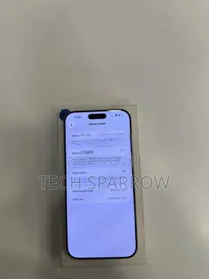 Apple iPhone 16 Pro Max 256GB (Used)