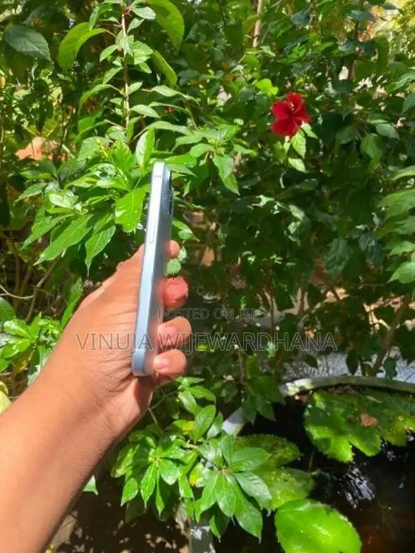 Apple iPhone 15 (Refurbished)