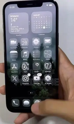 Apple iPhone 12 Pro Max (Used)