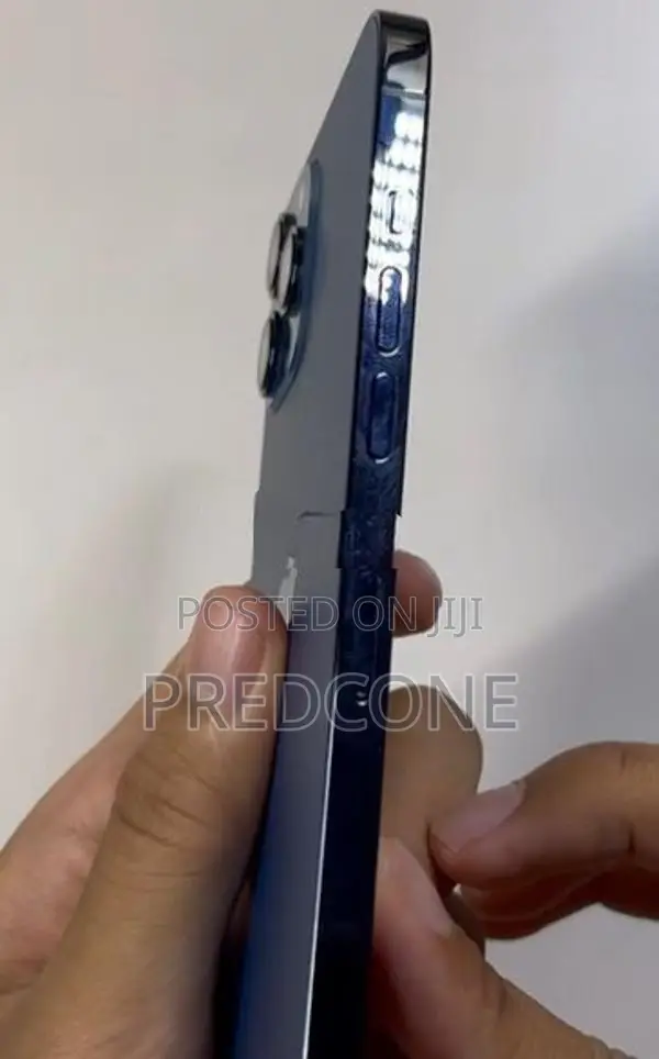 Apple iPhone 12 Pro Max (Used)