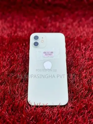 Apple iPhone 12 (Used)
