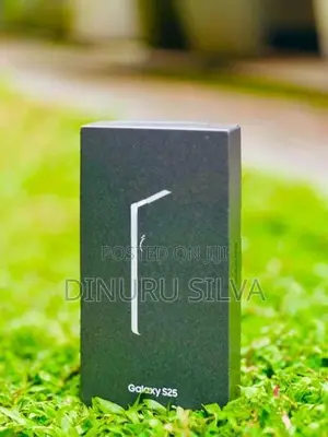 Samsung Galaxy S25 256GB (Used)