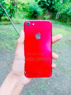 Apple iPhone 7 (Used)