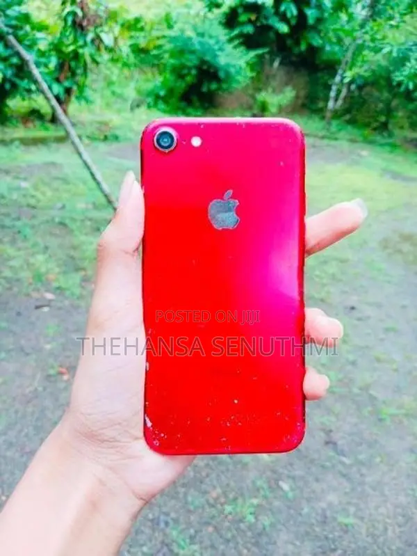Apple iPhone 7 (Used)