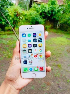 Apple iPhone 7 (Used)
