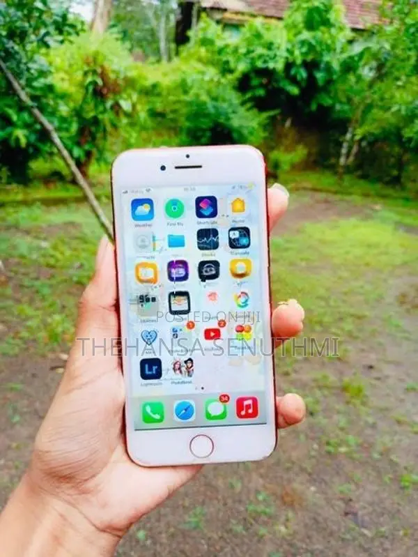Apple iPhone 7 (Used)