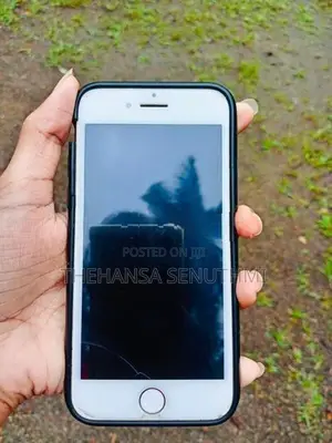 Apple iPhone 7 (Used)
