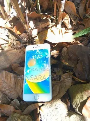 Apple iPhone 8 (Used)