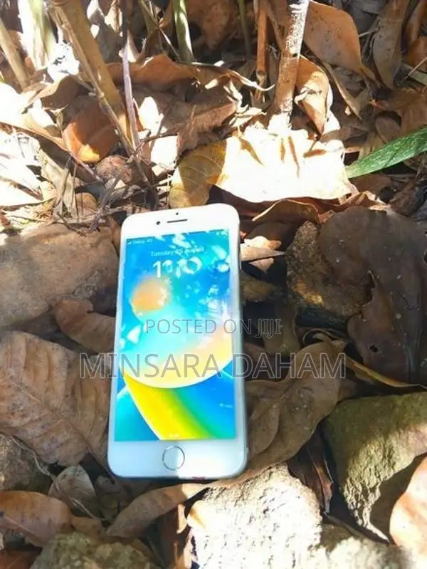 Apple iPhone 8 (Used)