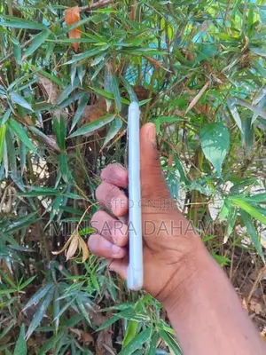 Apple iPhone 8 (Used)