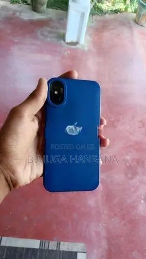 Apple iPhone X 256GB (Used)