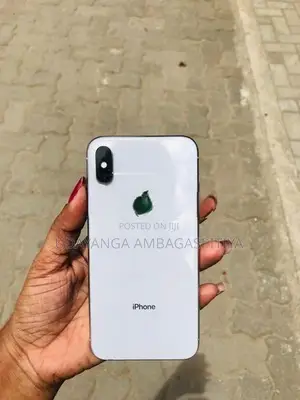 Apple iPhone X (Used)