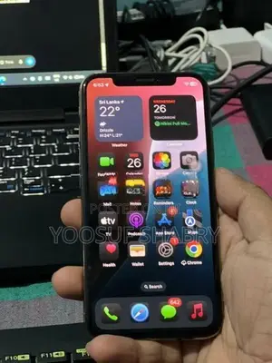 Apple iPhone XS 256GB (Used)
