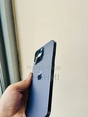 Apple iPhone 14 Pro Max 256GB (Used)