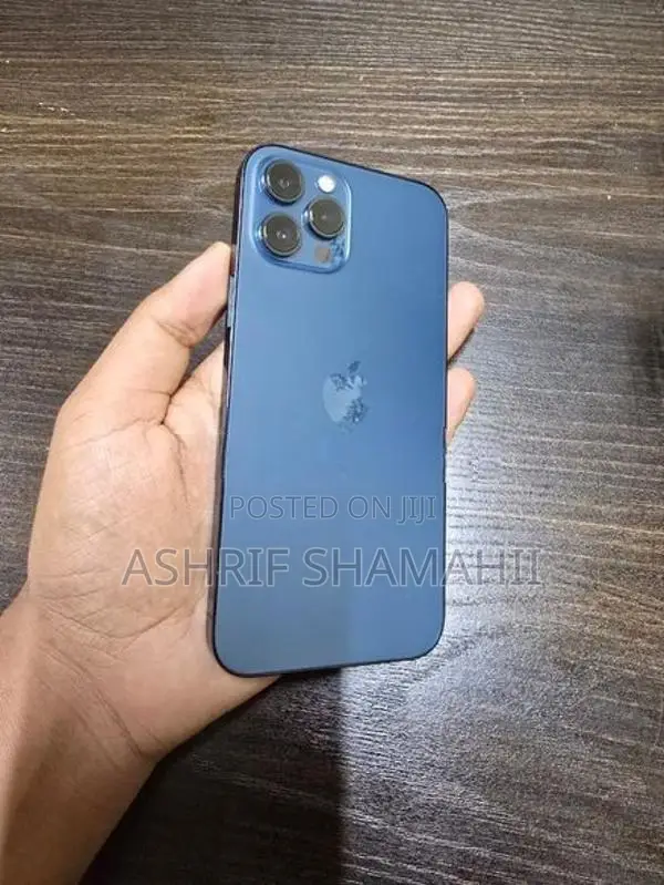 Apple iPhone 12 Pro Max (Used)