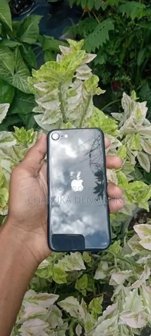 Apple iPhone SE 2 (Used)