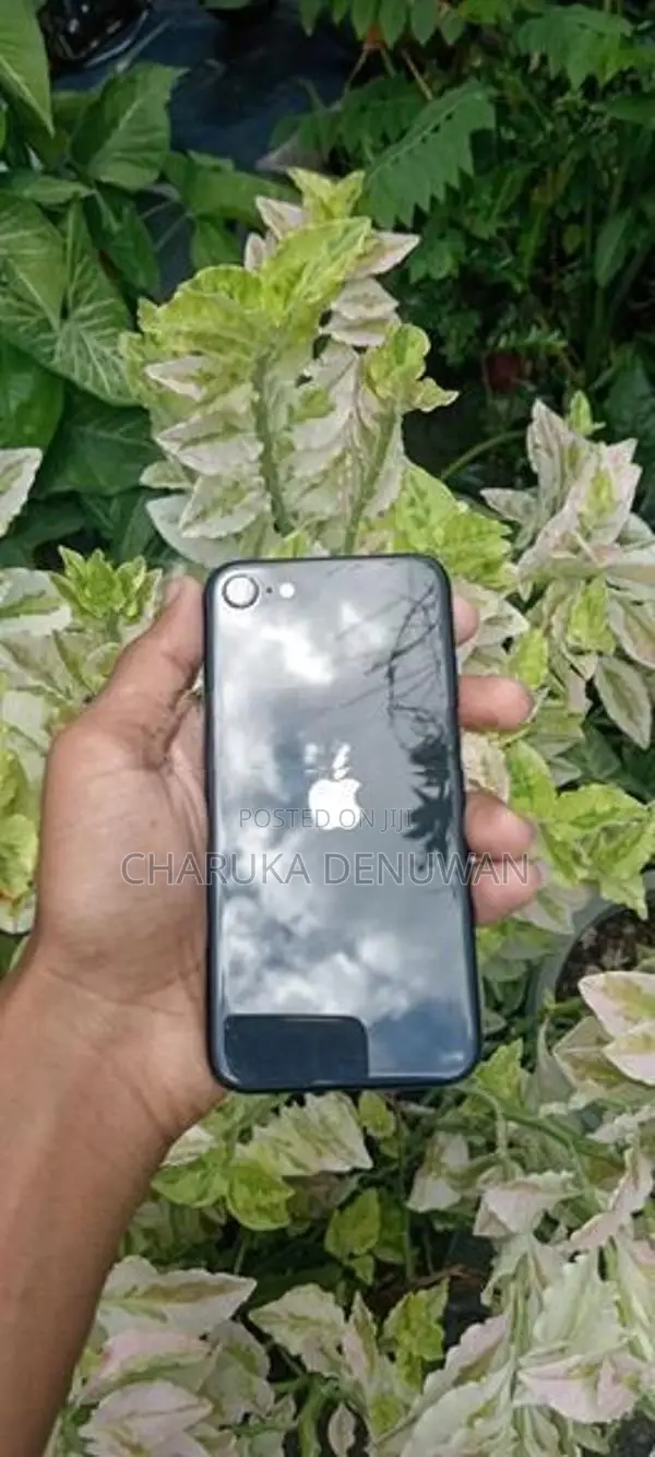 Apple iPhone SE 2 (Used)