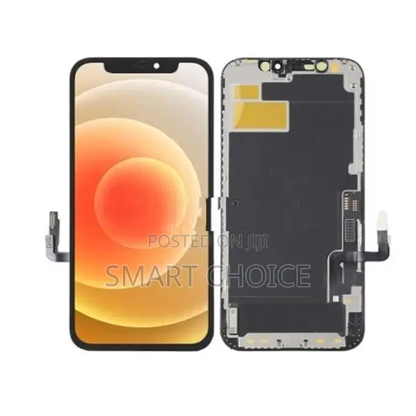 Apple iPhone 12 Pro Max Programmed GX Display
