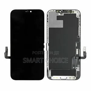 Apple iPhone 12 Pro Max Programmed GX Display