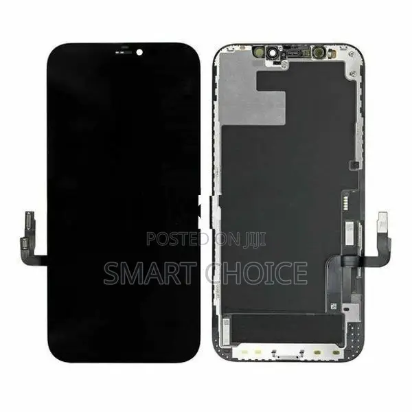 Apple iPhone 12 Pro Max Programmed GX Display
