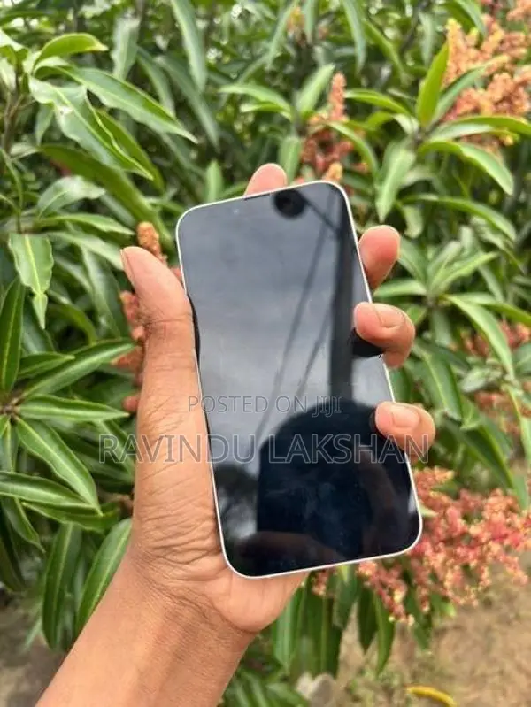 Apple iPhone 14 128GB (Used)