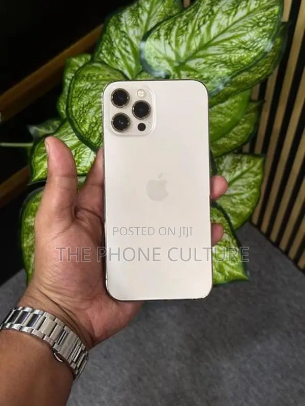 Apple iPhone 12 Pro Max 256GB (Used)