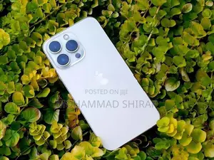 Apple iPhone 13 Pro (Used)