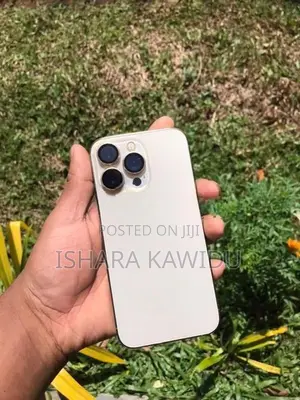 Apple iPhone 13 Pro (Used)