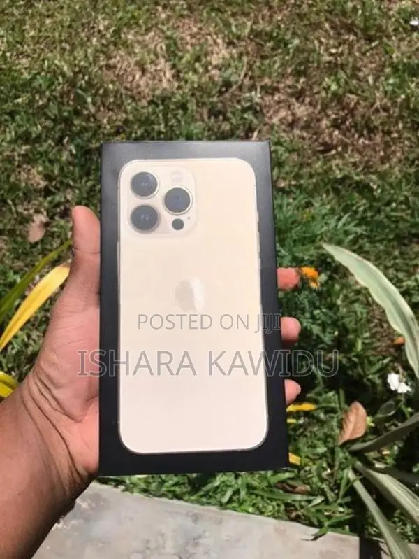 Apple iPhone 13 Pro (Used)