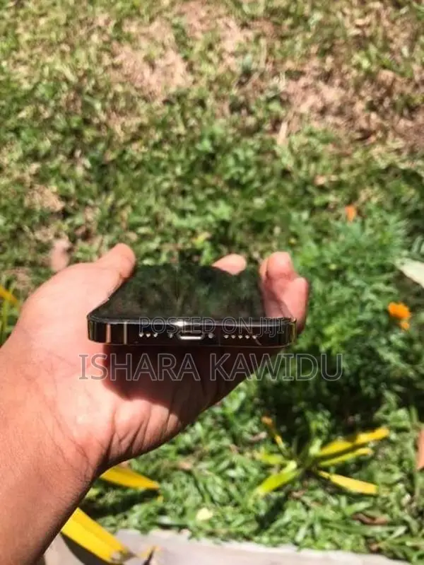 Apple iPhone 13 Pro (Used)