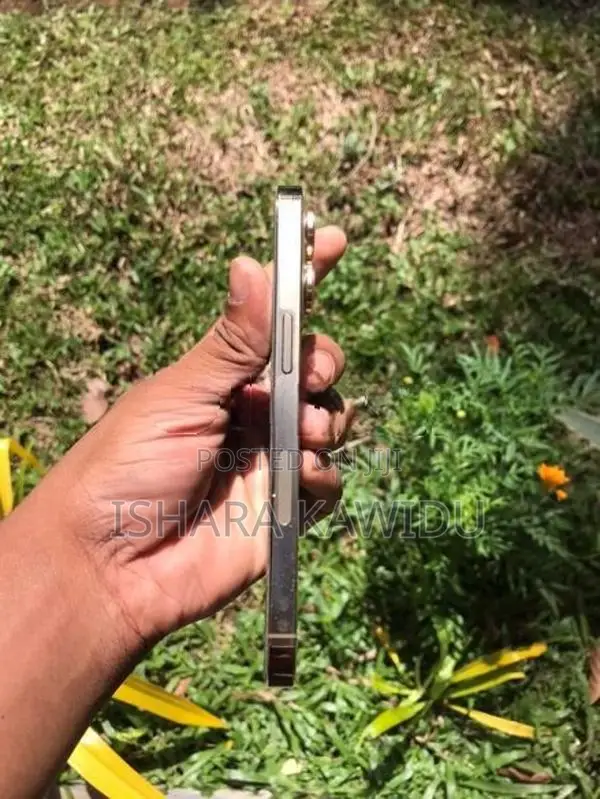 Apple iPhone 13 Pro (Used)