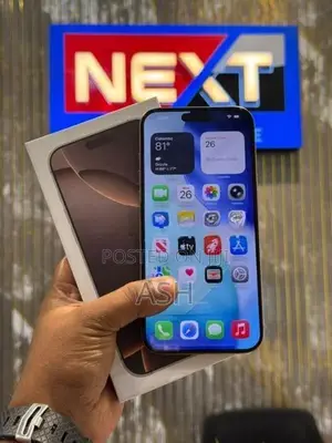 Apple iPhone 16 Pro Max 256GB (Used)