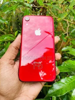 Apple iPhone XR 64GB (Used)