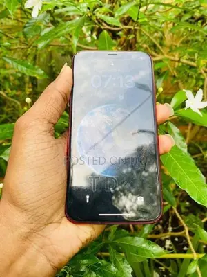 Apple iPhone XR 64GB (Used)