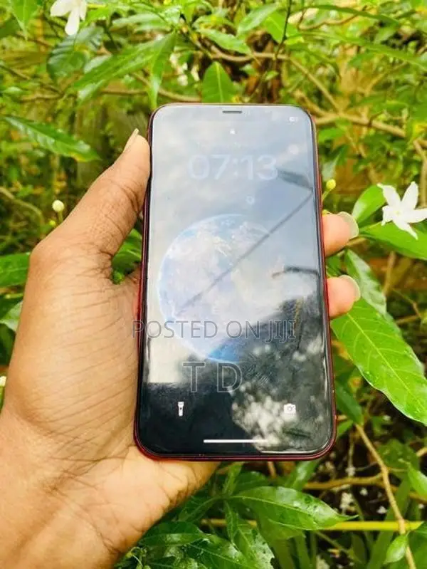 Apple iPhone XR 64GB (Used)