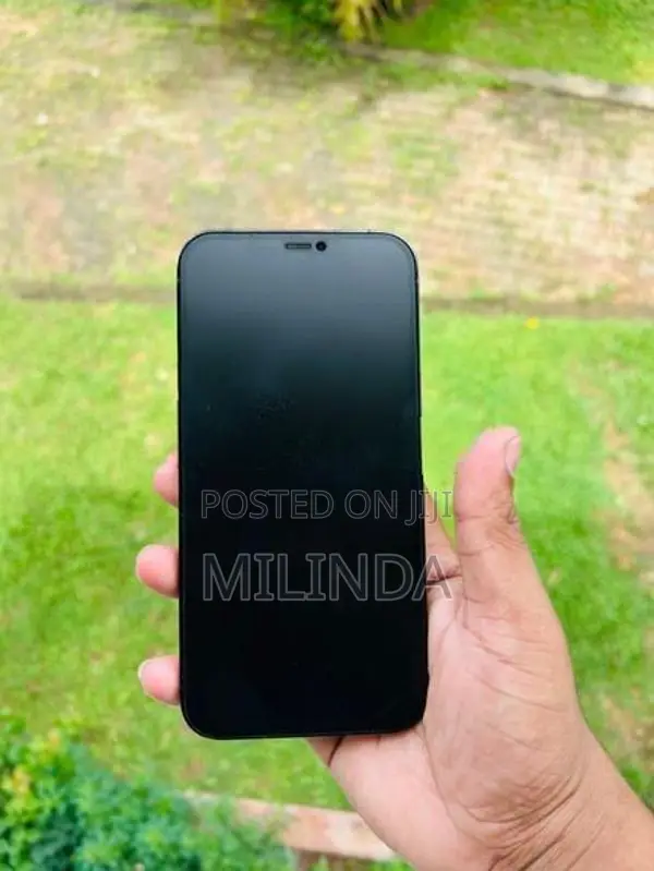 Apple iPhone 12 Pro Max (Used)