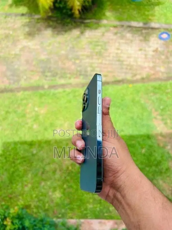 Apple iPhone 12 Pro Max (Used)