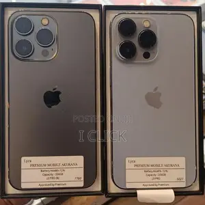 Apple iPhone 13 Pro 256GB (Used)