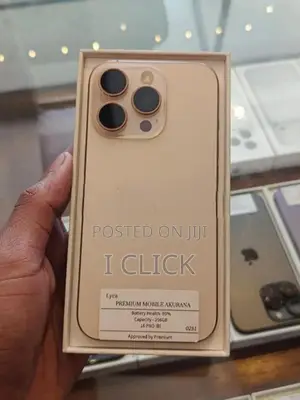 Apple iPhone 16 Pro 256GB (Used)