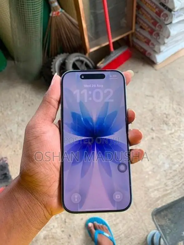 Apple iPhone 17 (Used)