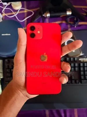 Apple iPhone 12 (Used)