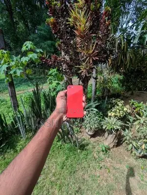 Apple iPhone SE 2 (Used)