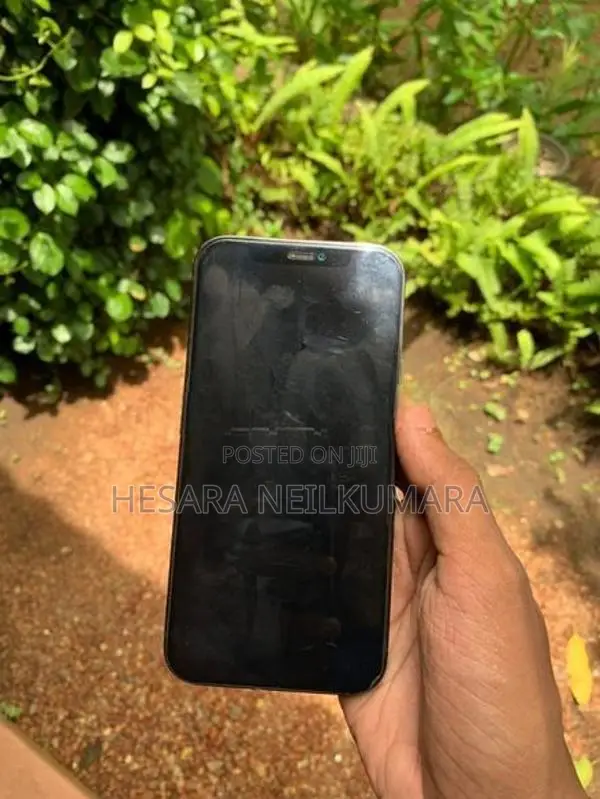 Apple iPhone 12 Pro 256GB (Used)