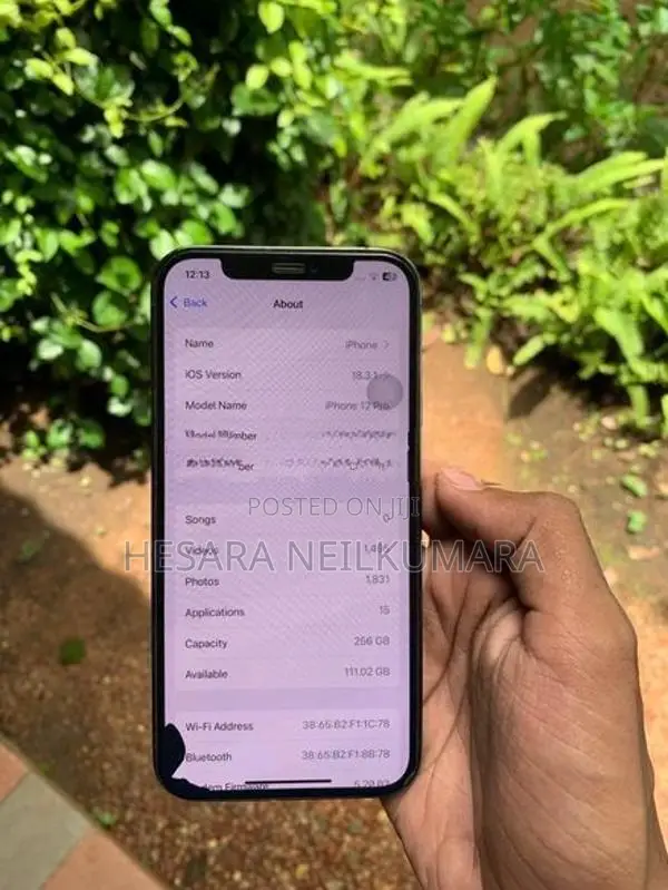 Apple iPhone 12 Pro 256GB (Used)