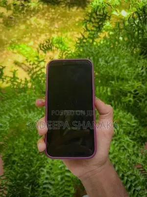 Apple iPhone 14 (Used)