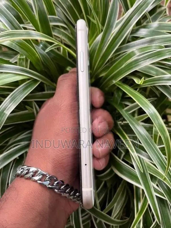 Apple iPhone 11 (Used)
