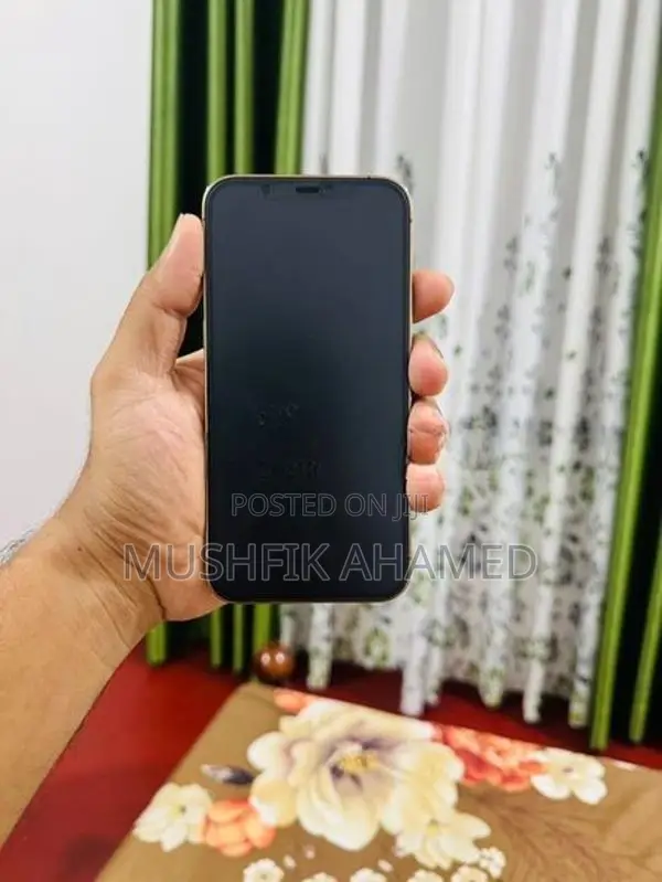 Apple iPhone 12 Pro 256GB (Used)