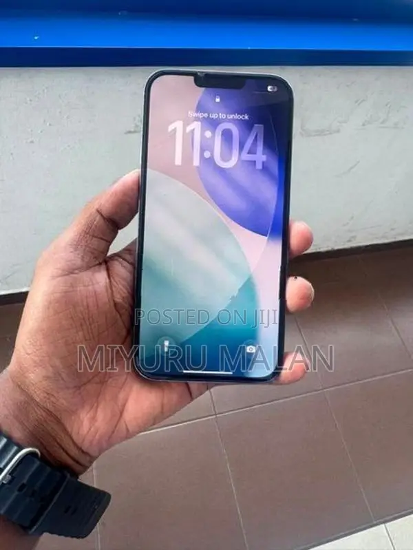 Apple iPhone 13 Pro Max (Used)