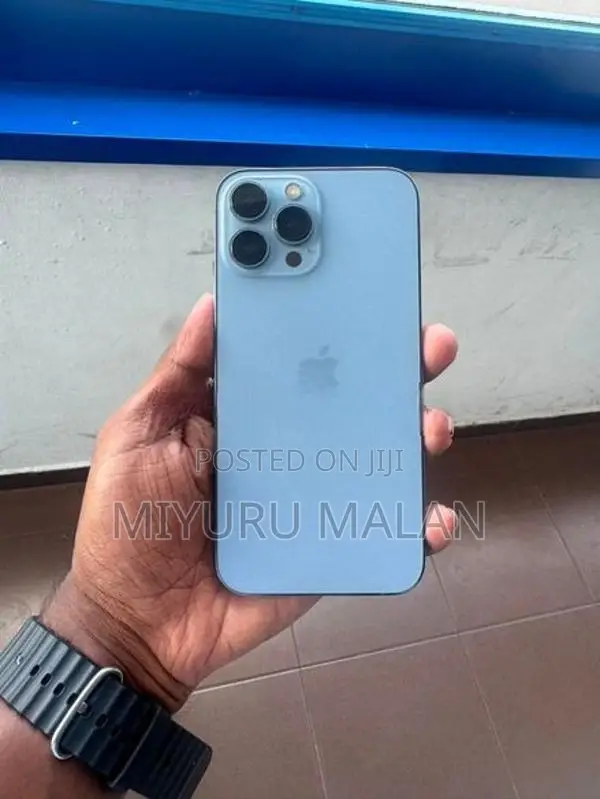Apple iPhone 13 Pro Max (Used)